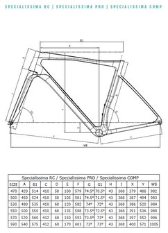 Bianchi Specialissima  Geomtrie