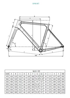 Bianchi Sprint Geomtrie